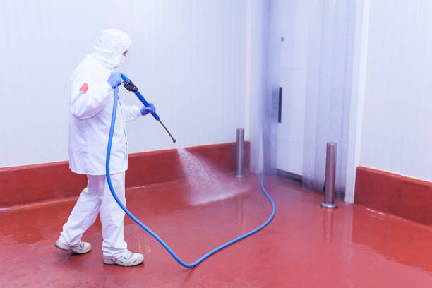 Best Paint Preparation  in Creswell, OR